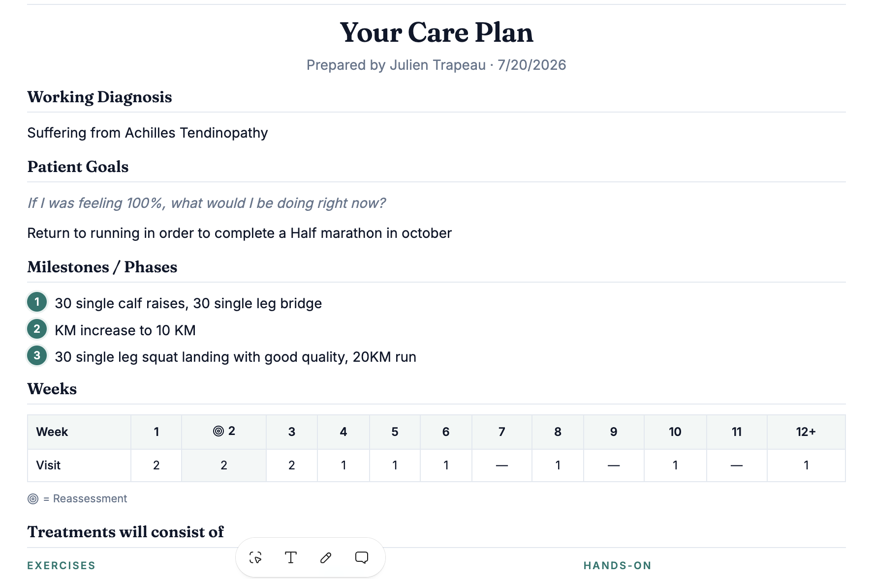 Patient-facing care plan with working diagnosis, goals, milestones and weekly visit table